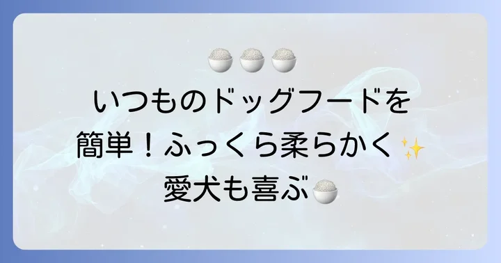 ドッグフードを柔らかくする工夫と与え方のコツ