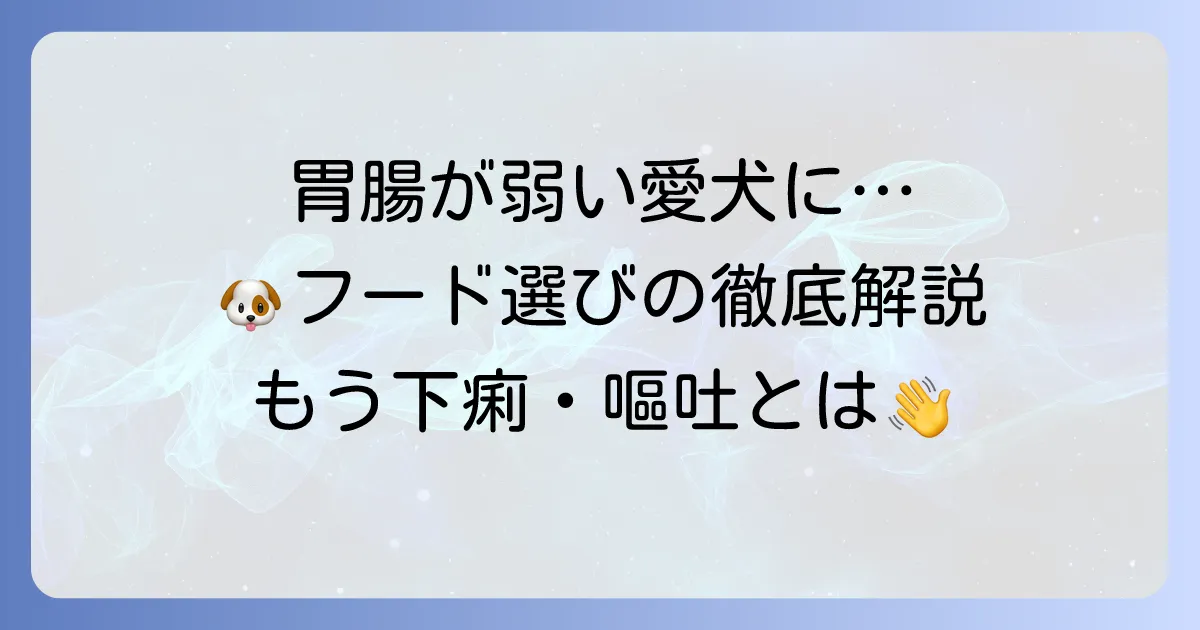 胃腸の弱い犬のドッグフード市販品選び方とおすすめを徹底解説