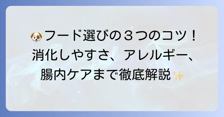 市販のドッグフードを選ぶ際のポイント