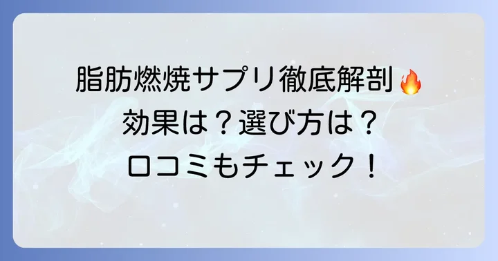 パワープロダクション脂肪燃焼サプリとは？主要製品と特徴