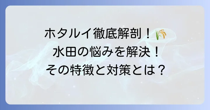 水田の強害雑草「ホタルイ」とは？その特徴と厄介な理由