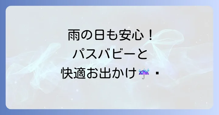 パスバビーレインカバーが必要な理由