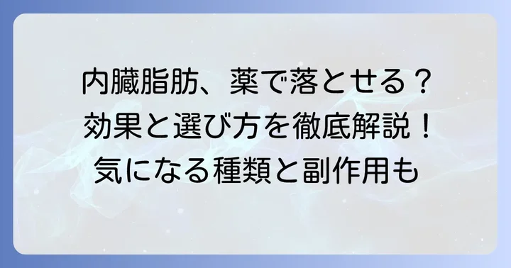 内臓脂肪を落とす薬の種類とランキング
