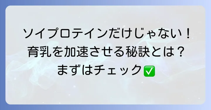 ソイプロテイン以外で育乳をサポートする方法