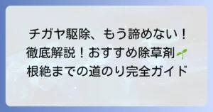 チガヤ除草剤のおすすめ徹底解説！頑固な雑草を根絶する選び方と使い方