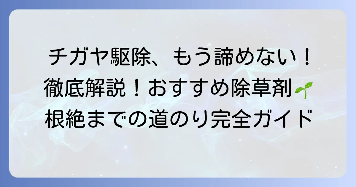チガヤ除草剤のおすすめ徹底解説！頑固な雑草を根絶する選び方と使い方