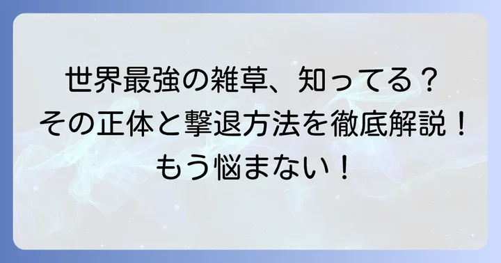 そもそもチガヤとは？その驚異的な繁殖力と駆除の難しさ