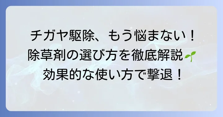 チガヤに効く除草剤の種類と選び方のコツ