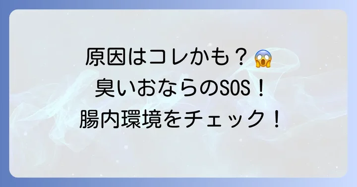 おならが臭くなるのはなぜ？主な原因を理解しよう