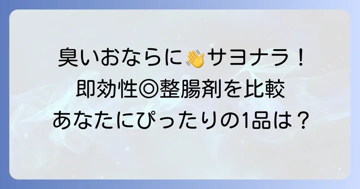 【市販で買える】おなら臭い対策におすすめの整腸剤
