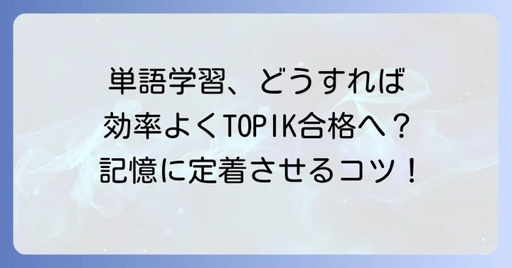 TOPIK単語を効率的に覚える勉強法