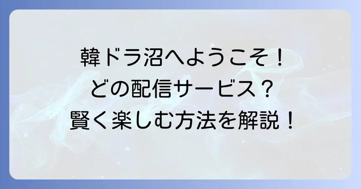 韓国ドラマをさらに楽しむための視聴方法