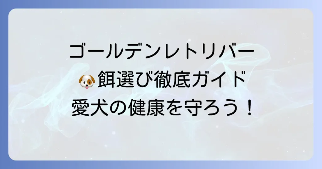 ゴールデンレトリバーの餌選び！市販のおすすめドッグフードと選び方を徹底解説