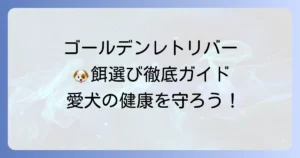 ゴールデンレトリバーの餌選び！市販のおすすめドッグフードと選び方を徹底解説