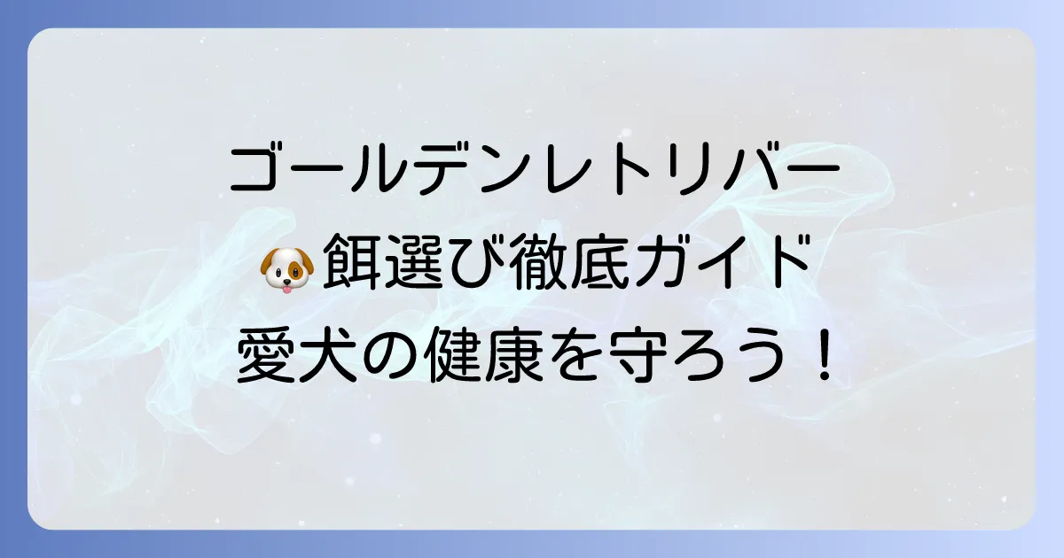 ゴールデンレトリバーの餌選び！市販のおすすめドッグフードと選び方を徹底解説