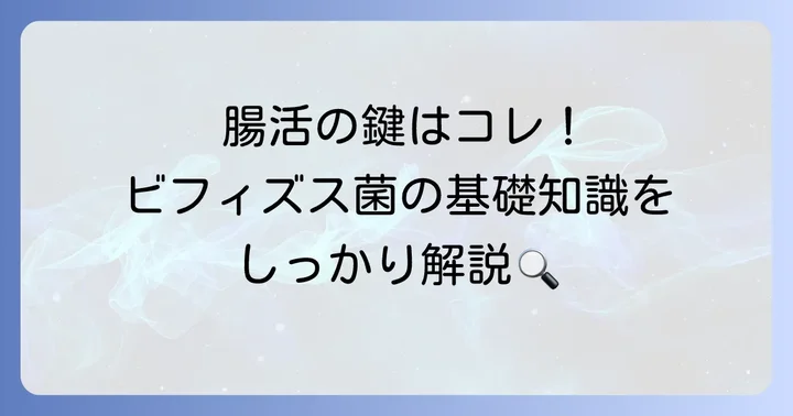 ビフィズス菌サプリ選びで失敗しないための基礎知識