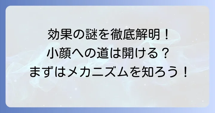 小顔美顔器は本当に効果がある？そのメカニズムを理解する