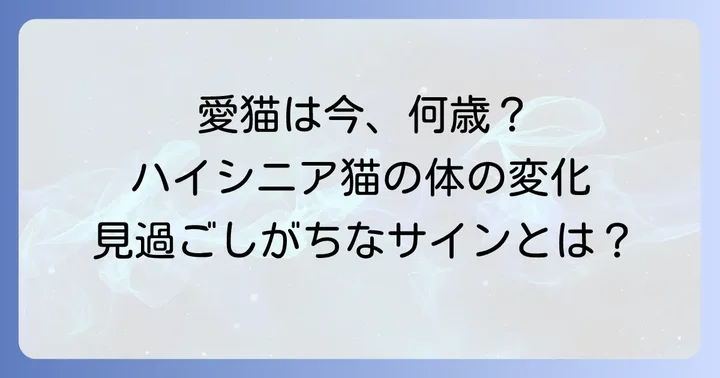 ハイシニア猫とは?年齢と体の変化を理解する