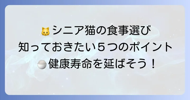 ハイシニア猫フードの選び方!大切な5つのポイント