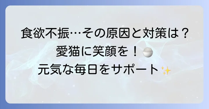 ハイシニア猫にフードを与えるコツと食欲不振対策