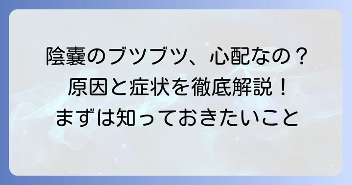 陰嚢被角血管腫とは？その特徴と一般的な原因