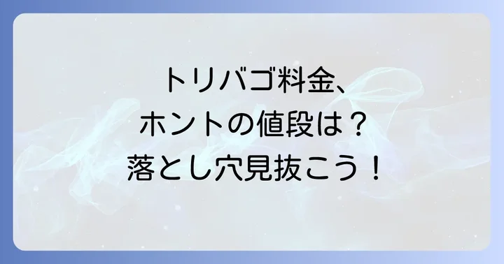 最終的な支払い金額を正確に確認する方法