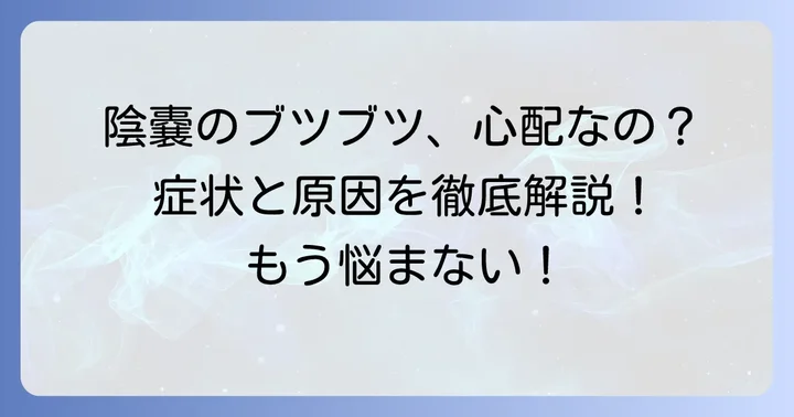 陰嚢被角血管腫とは?症状と原因を理解する