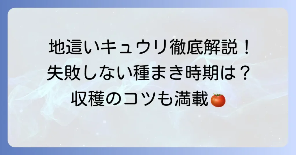 地這いキュウリの種まき時期を徹底解説！失敗しない育て方と収穫のコツ