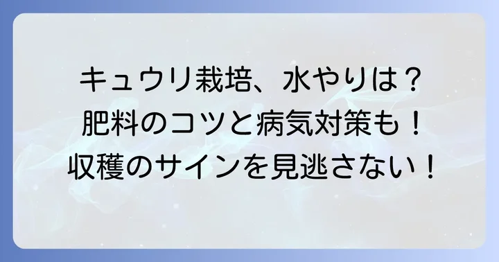 地這いキュウリの生育を促す日々の管理と収穫のコツ