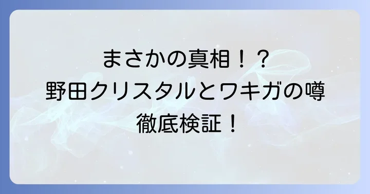 野田クリスタルさんのワキガの噂は本当？本人の発言やエピソードを検証