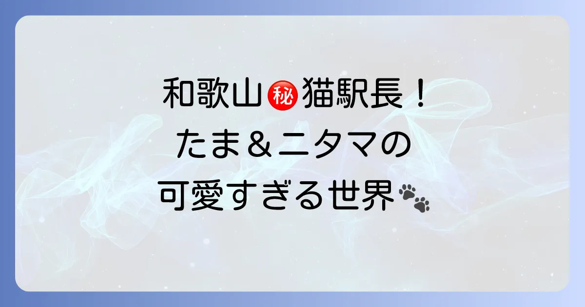 和歌山の「にゃんたろう」を徹底解説!たま駅長と和にゃん盆の魅力に迫る