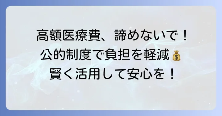 MFICUの高額な医療費を軽減する公的制度