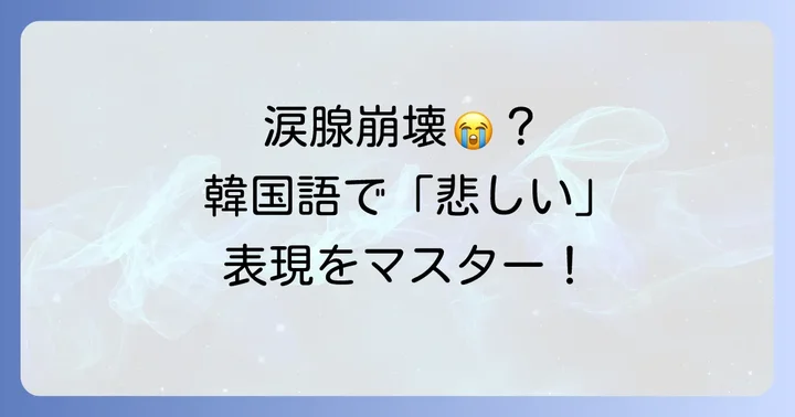 韓国語で悲しい気持ちを伝える表現
