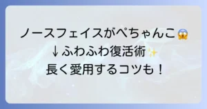 ノースフェイスのダウンがぺちゃんこに！自宅でできる復活方法と長く愛用するコツ