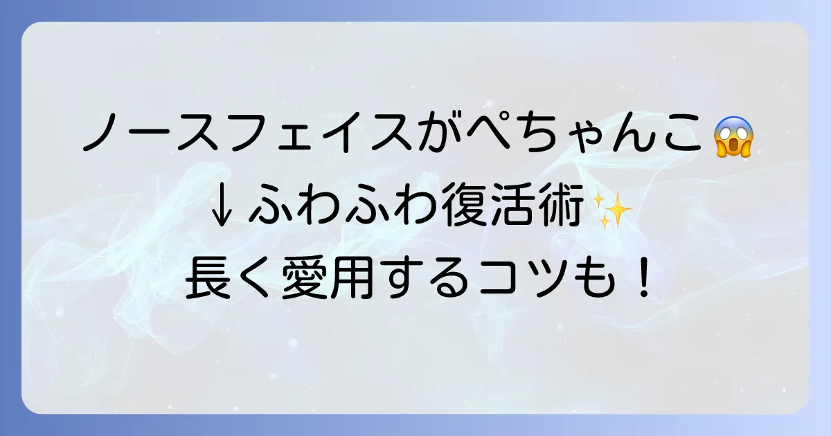 ノースフェイスのダウンがぺちゃんこに！自宅でできる復活方法と長く愛用するコツ
