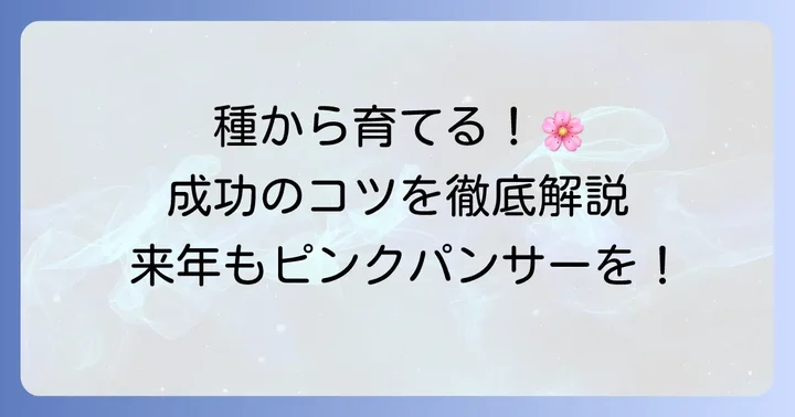 シレネピンクパンサーを種から育てるコツ