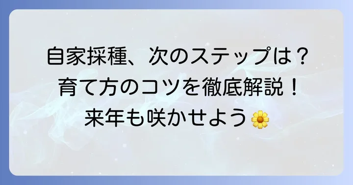 ゴテチャの種まきと育て方！採取した種を活かす