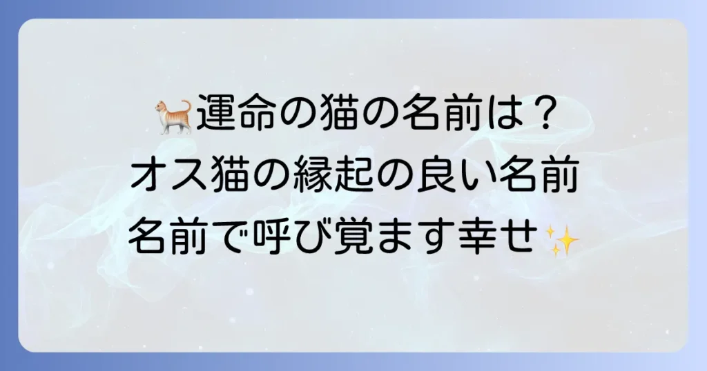 幸運を呼ぶ猫の名前（オス）厳選！愛猫にぴったりの縁起の良い名前を見つけよう