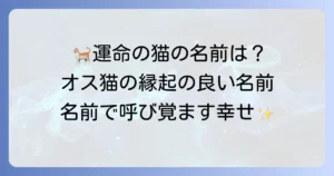 幸運を呼ぶ猫の名前（オス）厳選！愛猫にぴったりの縁起の良い名前を見つけよう
