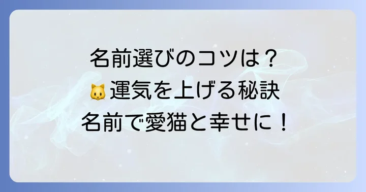 愛猫に幸運を呼ぶ名前を選ぶ大切なコツ