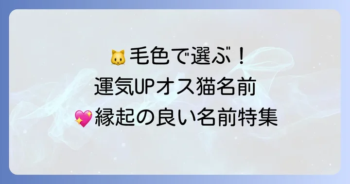 毛色や特徴から考える幸運を呼ぶオス猫の名前