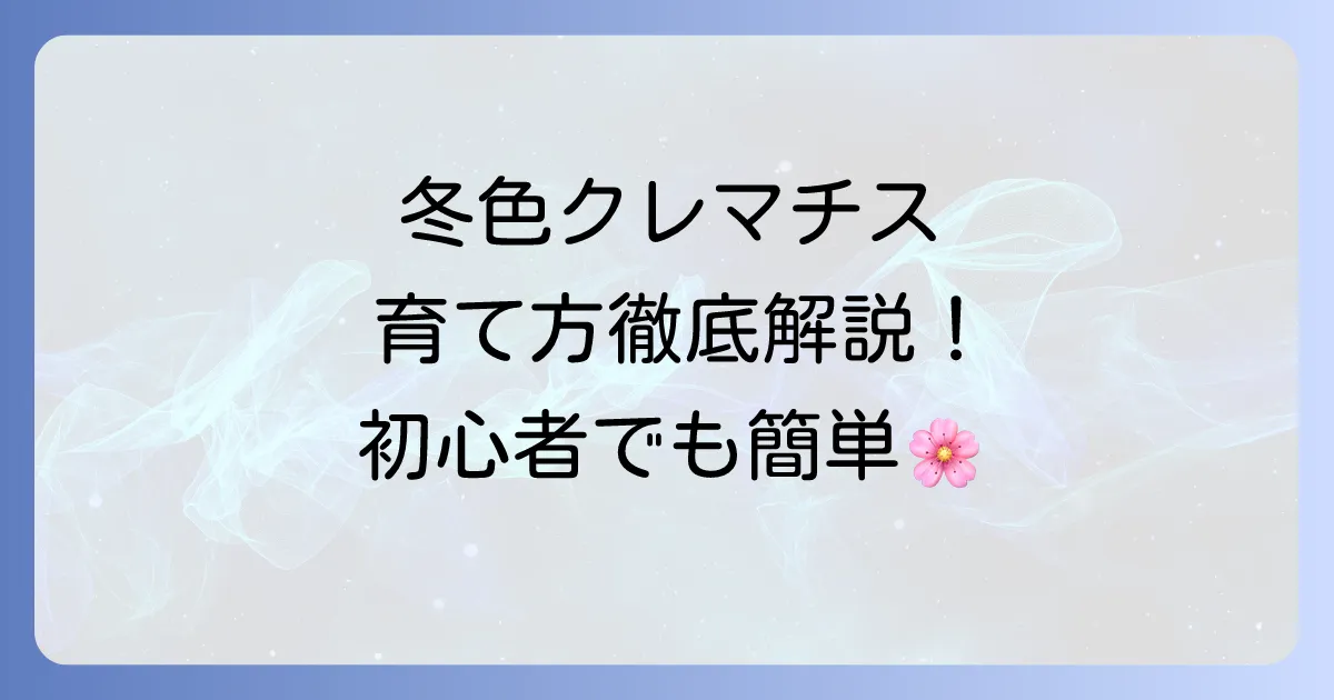 クレマチス冬色のメロディの育て方：徹底解説！冬に咲く魅力と管理のコツ
