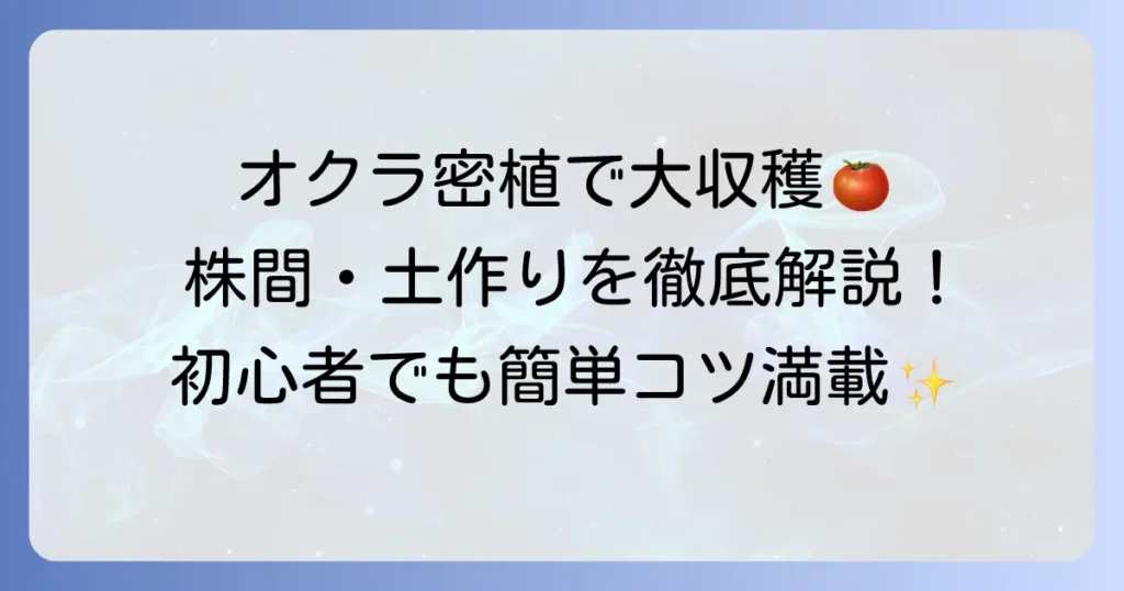 オクラの密植栽培における株間を徹底解説！収穫量を増やすコツと注意点