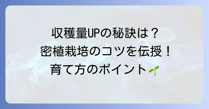 密植栽培で収穫量を最大化する栽培管理のポイント