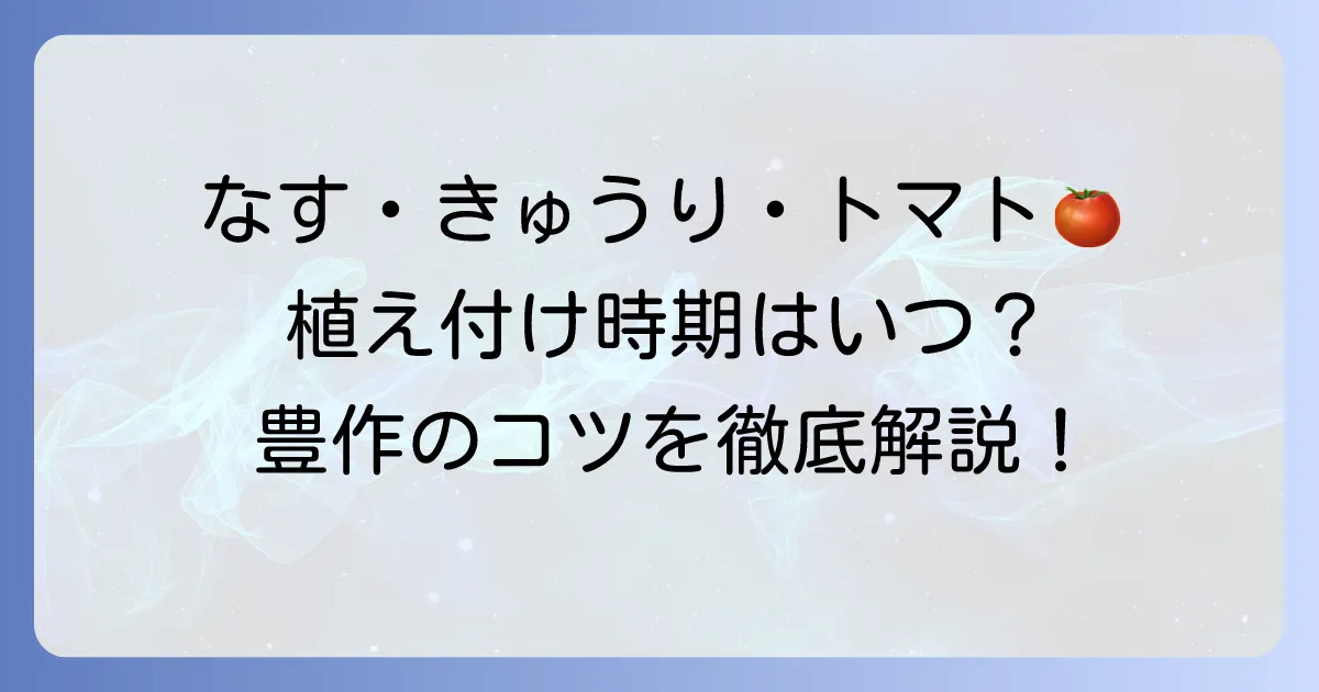 なす・きゅうり・トマトの植え付け時期を徹底解説！家庭菜園で豊作を目指すコツ