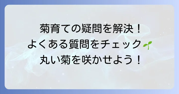 よくある質問