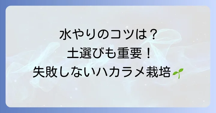 水やりと土の選び方！ハカラメ栽培で失敗しないためのコツ