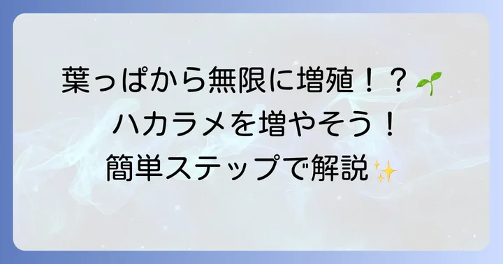 ハカラメの増やし方！葉っぱから簡単に増やす方法を徹底解説