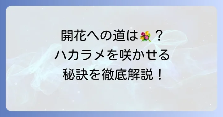 ハカラメの花を咲かせるには？開花を楽しむ栽培のコツ