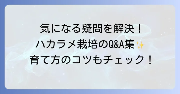 よくある質問